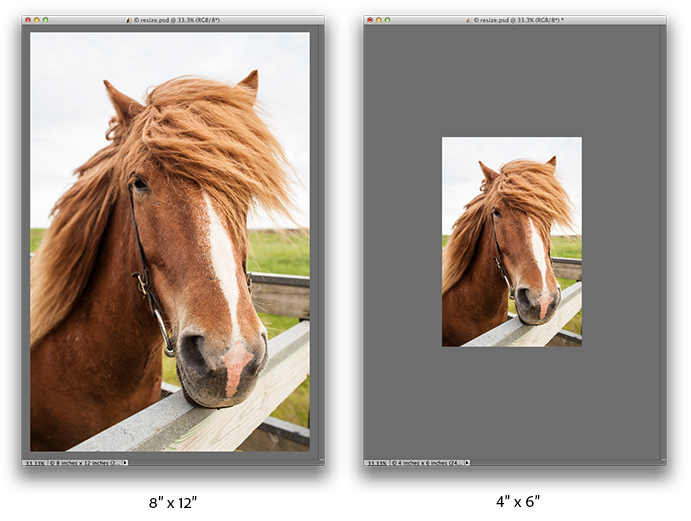 how to resize an image in adobe illustrator