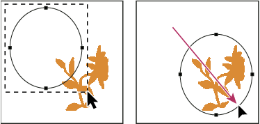 Edit paths in Adobe Photoshop