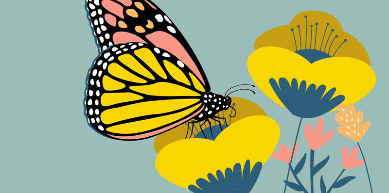 vector images vector images