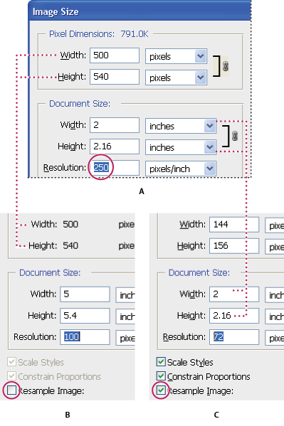 Megapixel File Size Chart