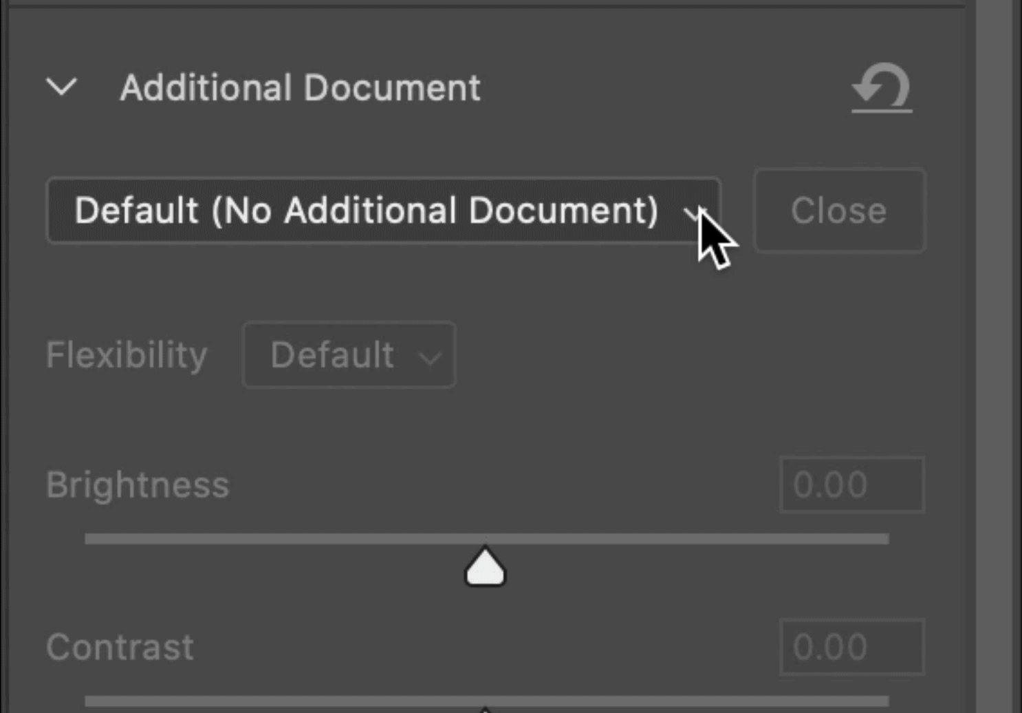 Additional Document section to reveal options