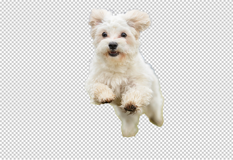 Free Transparent Background Maker: remove white background from image