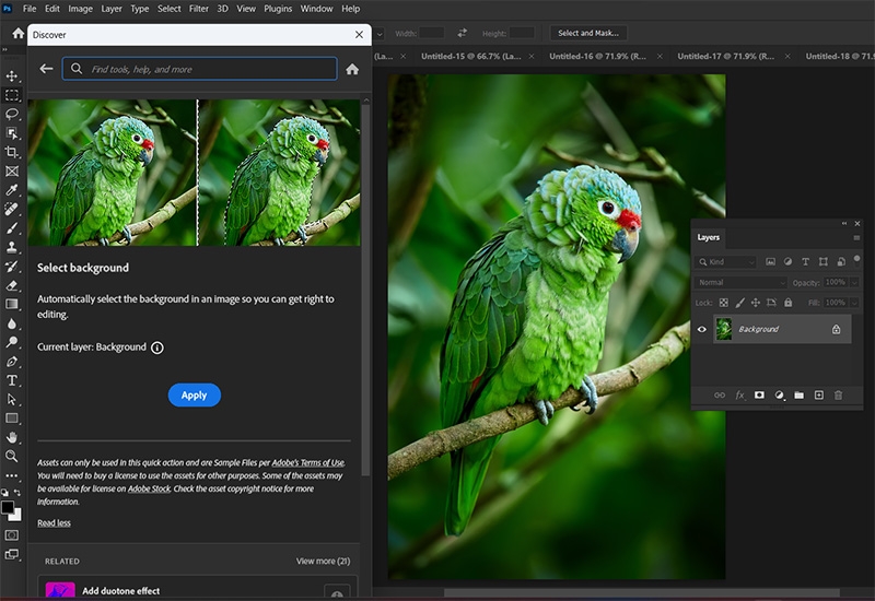 Open and purchase Adobe Stock assets with a single click