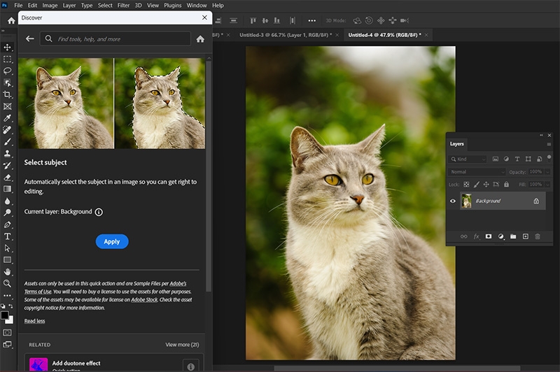 Open and purchase Adobe Stock assets with a single click