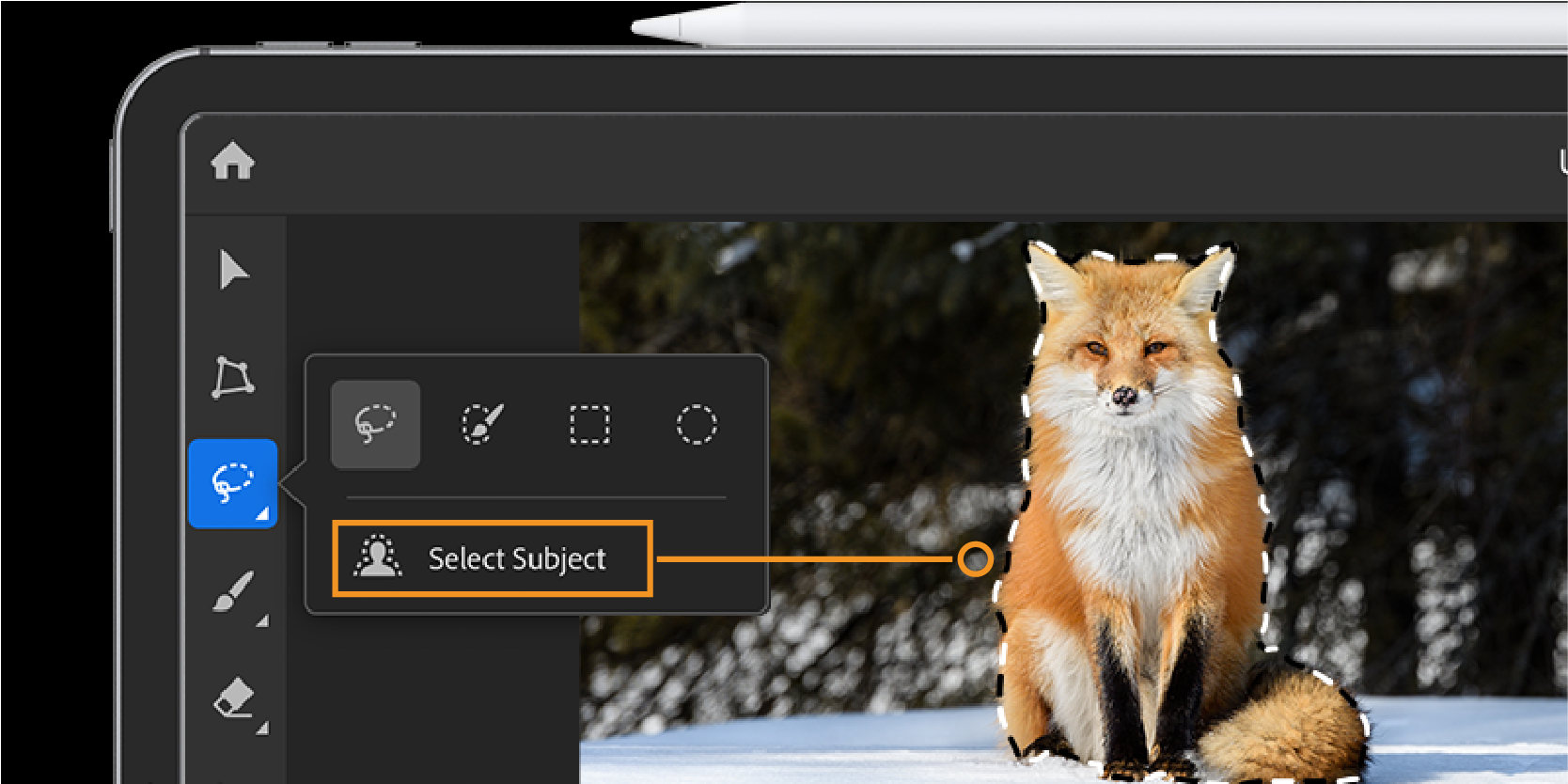 Select Subject Select Subject