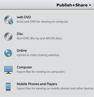 ws_publish_and_share_panel_ps
