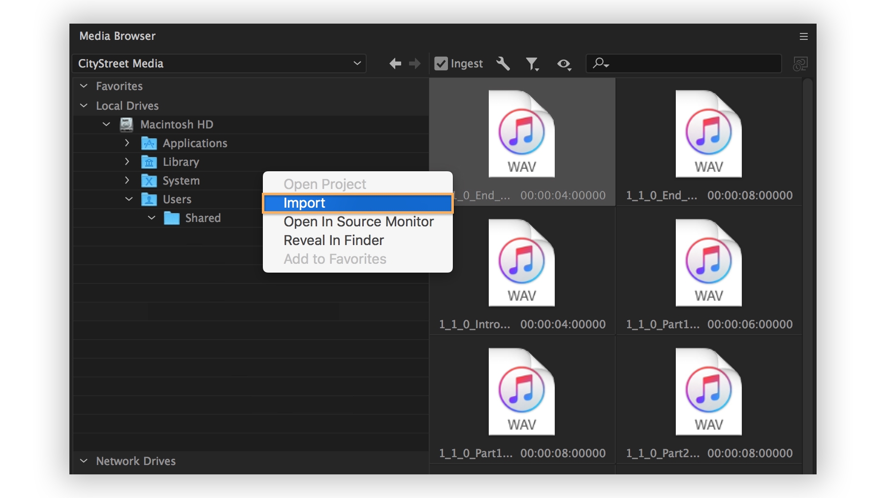 WAV files are imported and added to the Project panel. Ingest button is checked to copy the audio file to project folder. WAV files are imported and added to the Project panel. Ingest button is checked to copy the audio file to project folder.