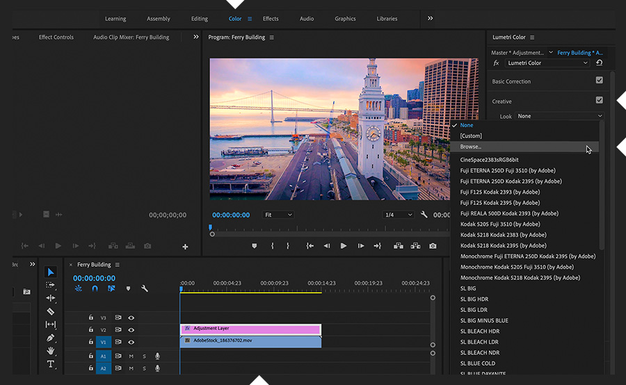 what is adobe premiere pro cs4 functional content