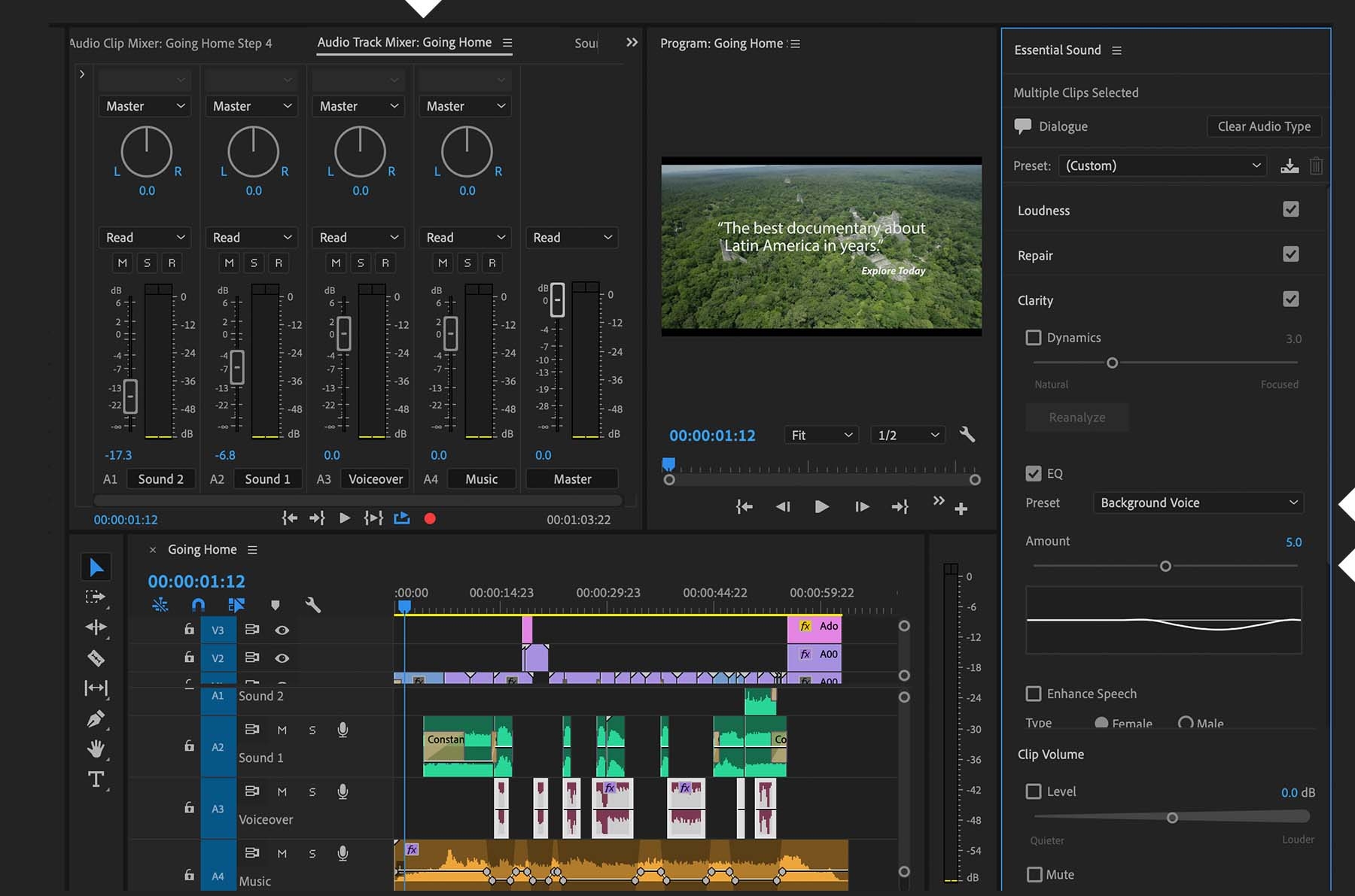 Element audio. Waveform Adobe Premiere Pro. Ducking Premiere Pro. Adobe enhance Speech. Adobe Voice Enhancer.