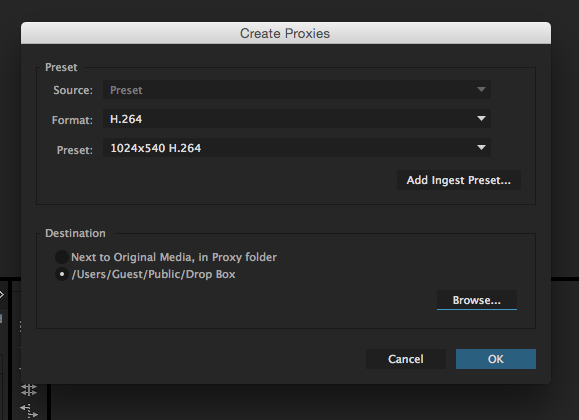 Add Presets To Premiere Pro