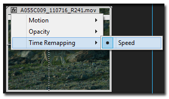 Choosing Time Remapping > Speed