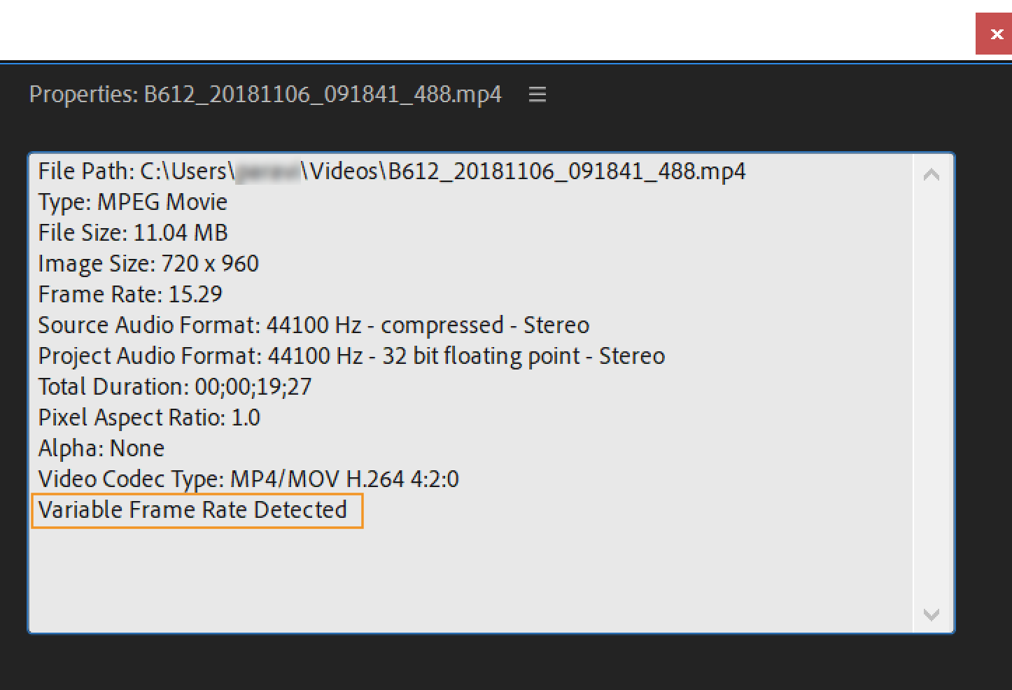 video codec premiere pro