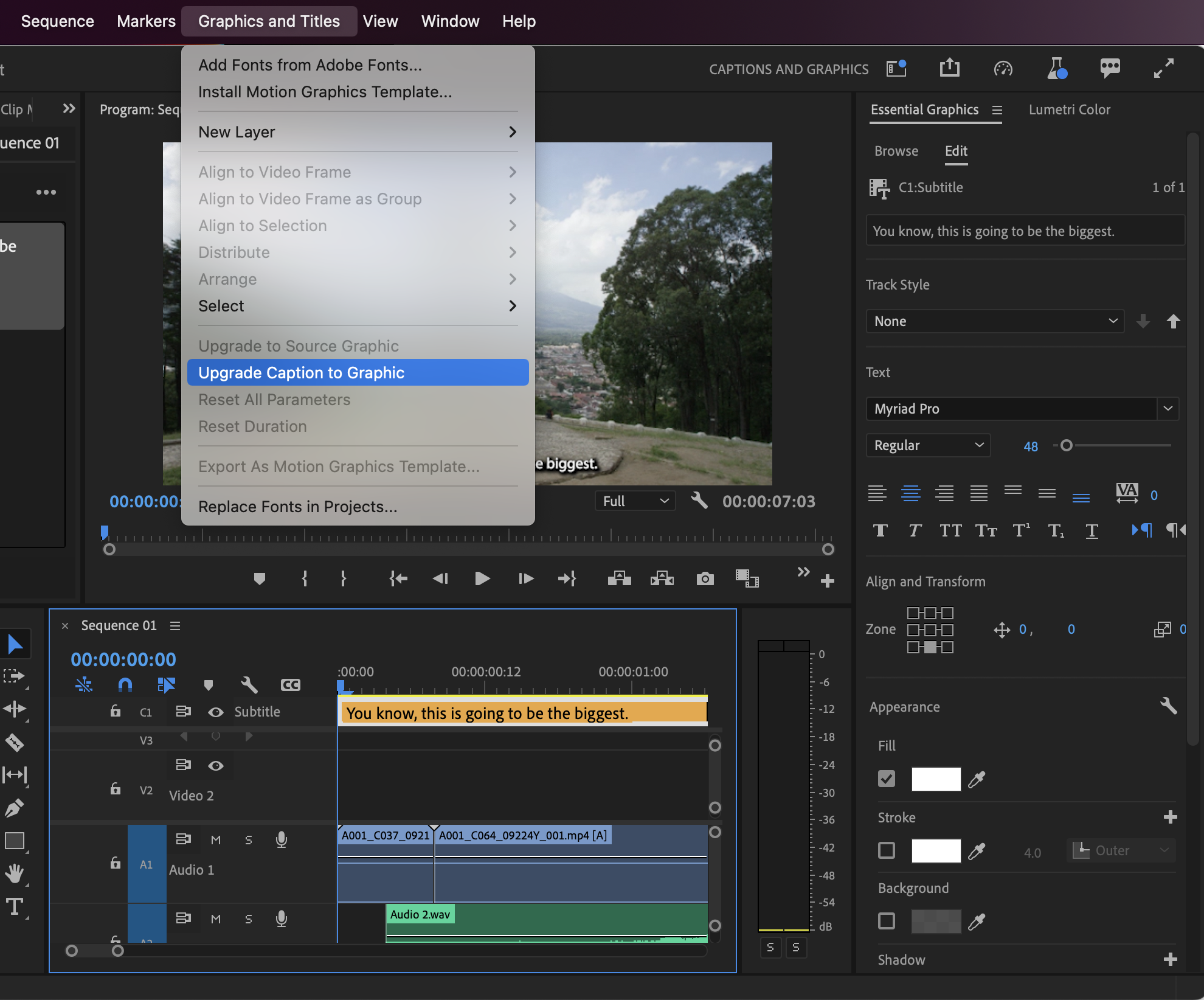 Difference between premiere pro 2024 and premiere pro cc