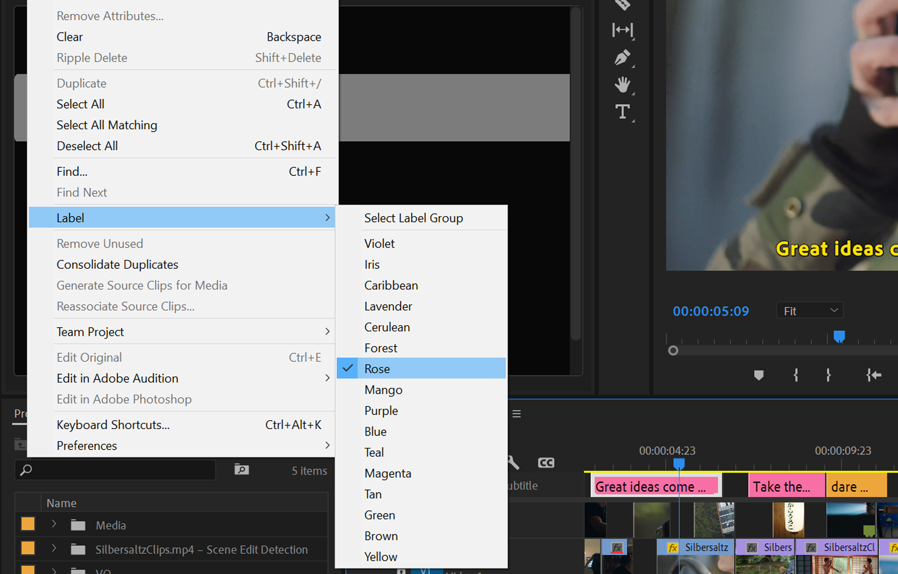 add caption to video premiere pro