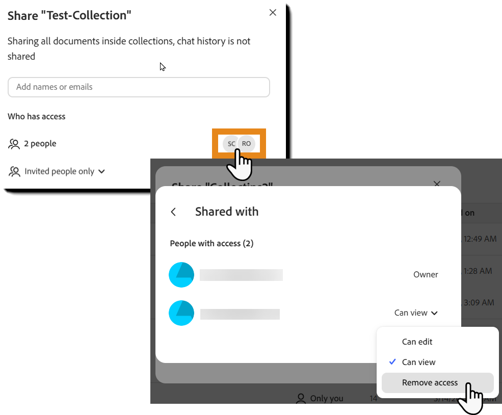 Sharing panel with the Remove access option available for a user.