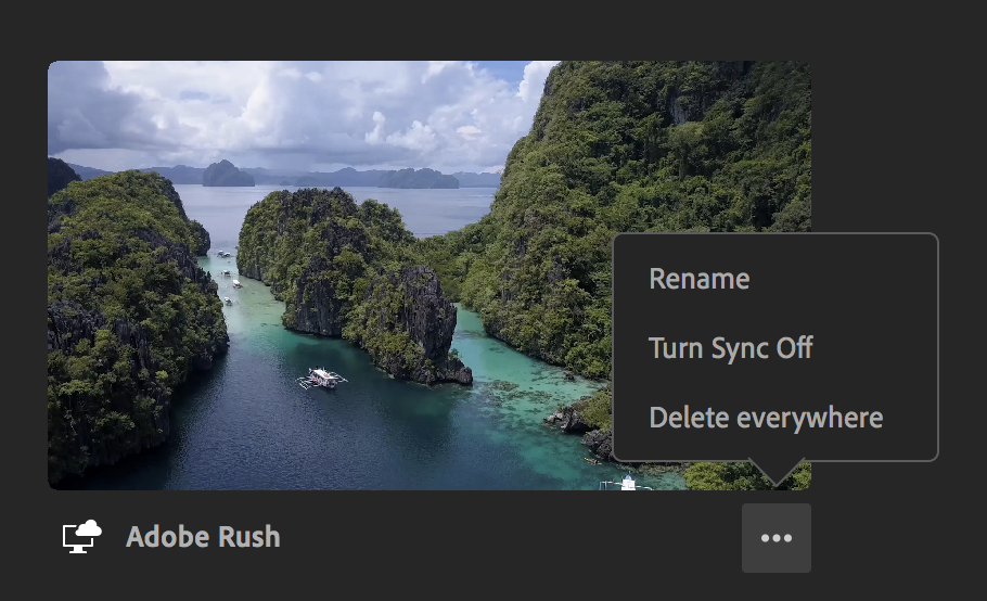 Opciones de proyecto