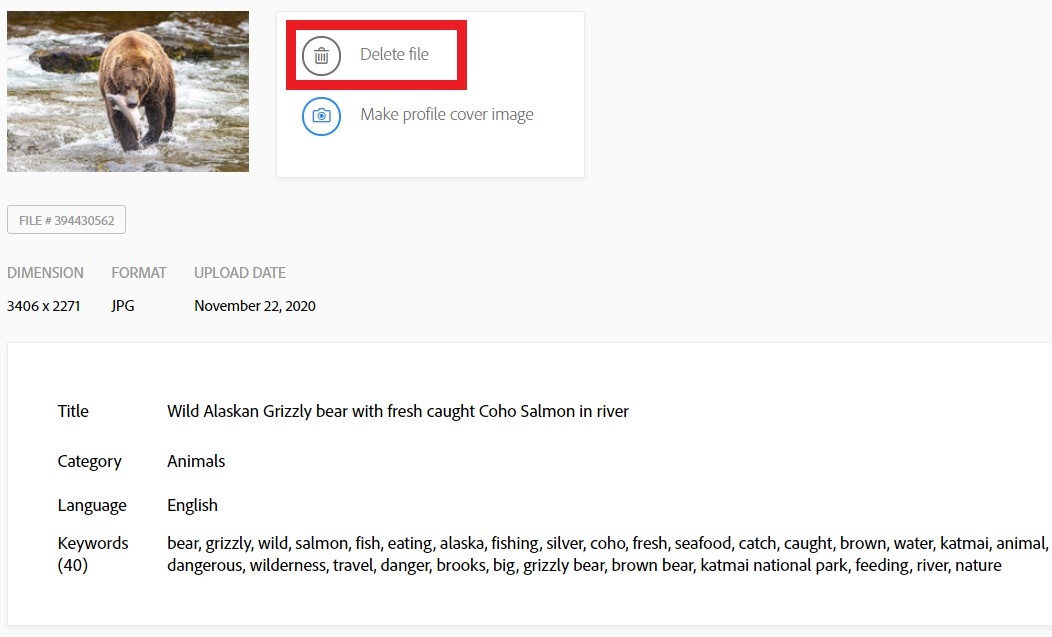 Editing And Deleting Files In The Adobe Stock Contributor Portal