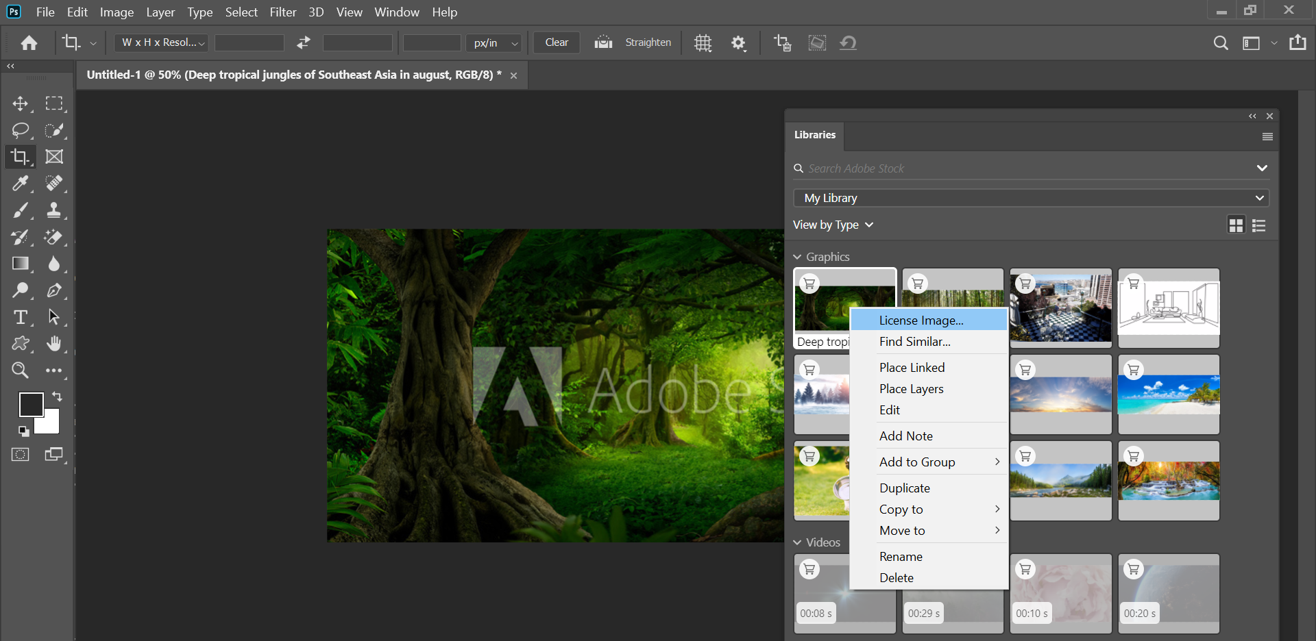 license_image Right-click a watermarked asset in library to license it.