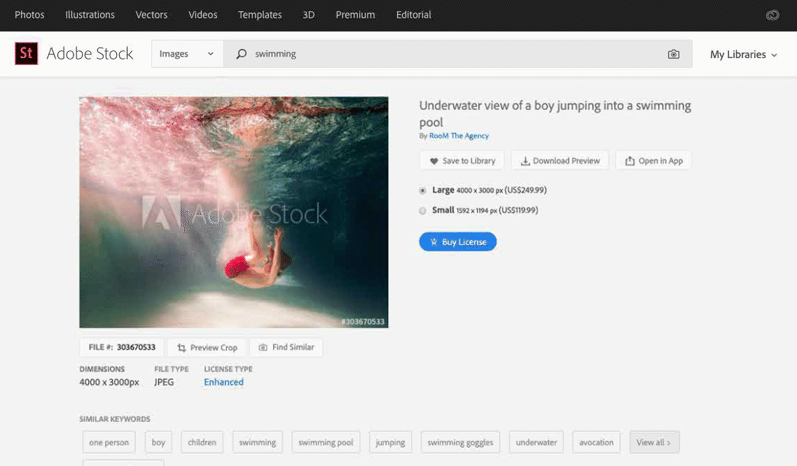 Add and share Adobe Stock assets in Creative Cloud Libraries