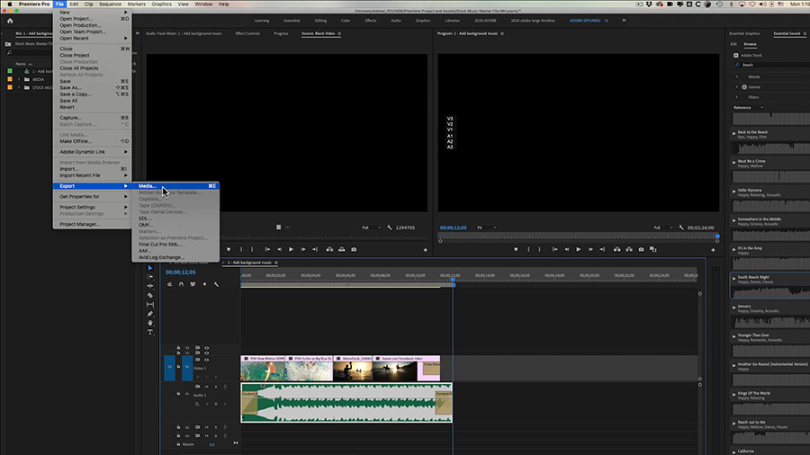 does adobe premiere pro have stock video