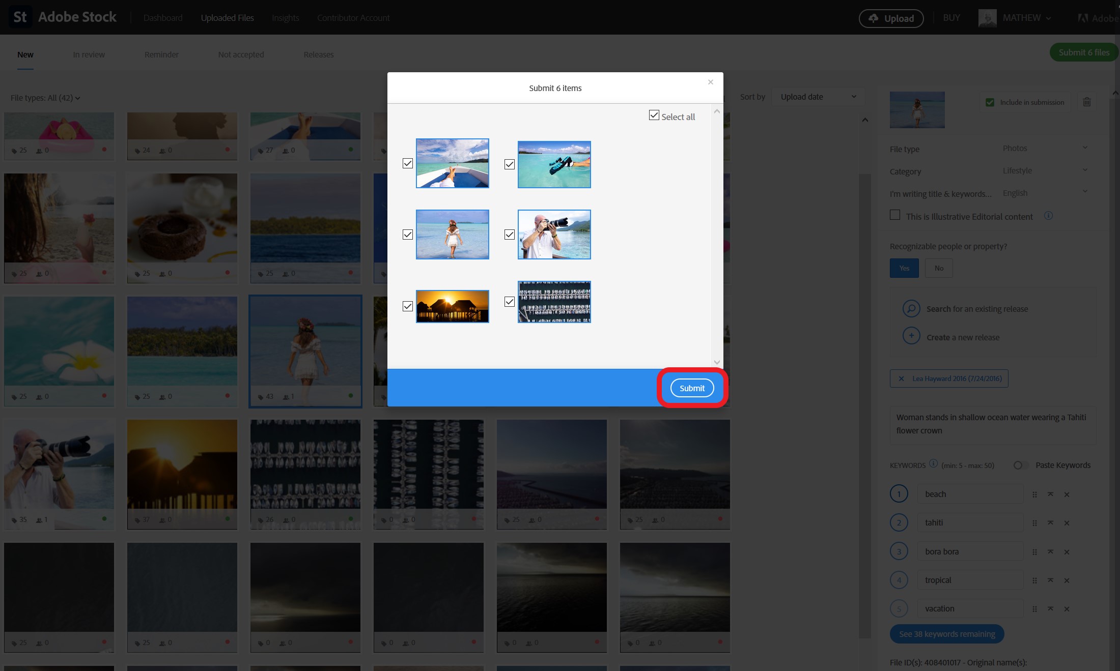 Use The Contributor Portal On Adobe Stock Adobe Learn Support Tutorials Use the contributor portal on adobe stock adobe learn support tutorials