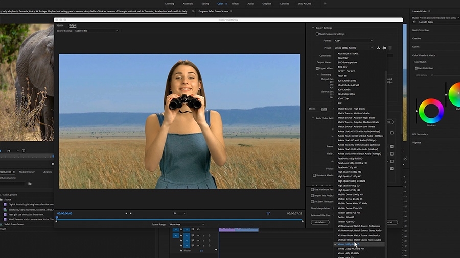 How to Do Chroma Key on Adobe Premiere Pro: 9 Easy Steps