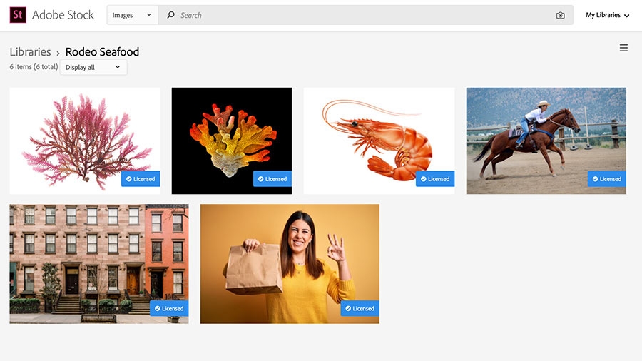 Adobe Stock website custom curated library of coral, shrimp, female rodeo rider, city street brownstones and woman holding brown bag. Adobe Stock website custom curated library of coral, shrimp, female rodeo rider, city street brownstones and woman holding brown bag.