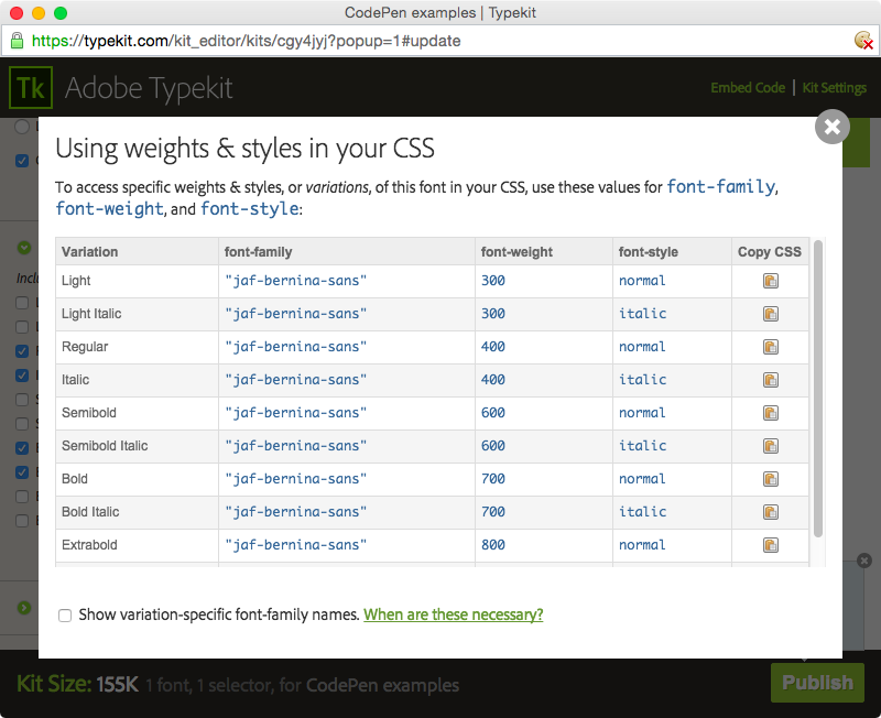 CSS information in the kit editor CSS information in the kit editor