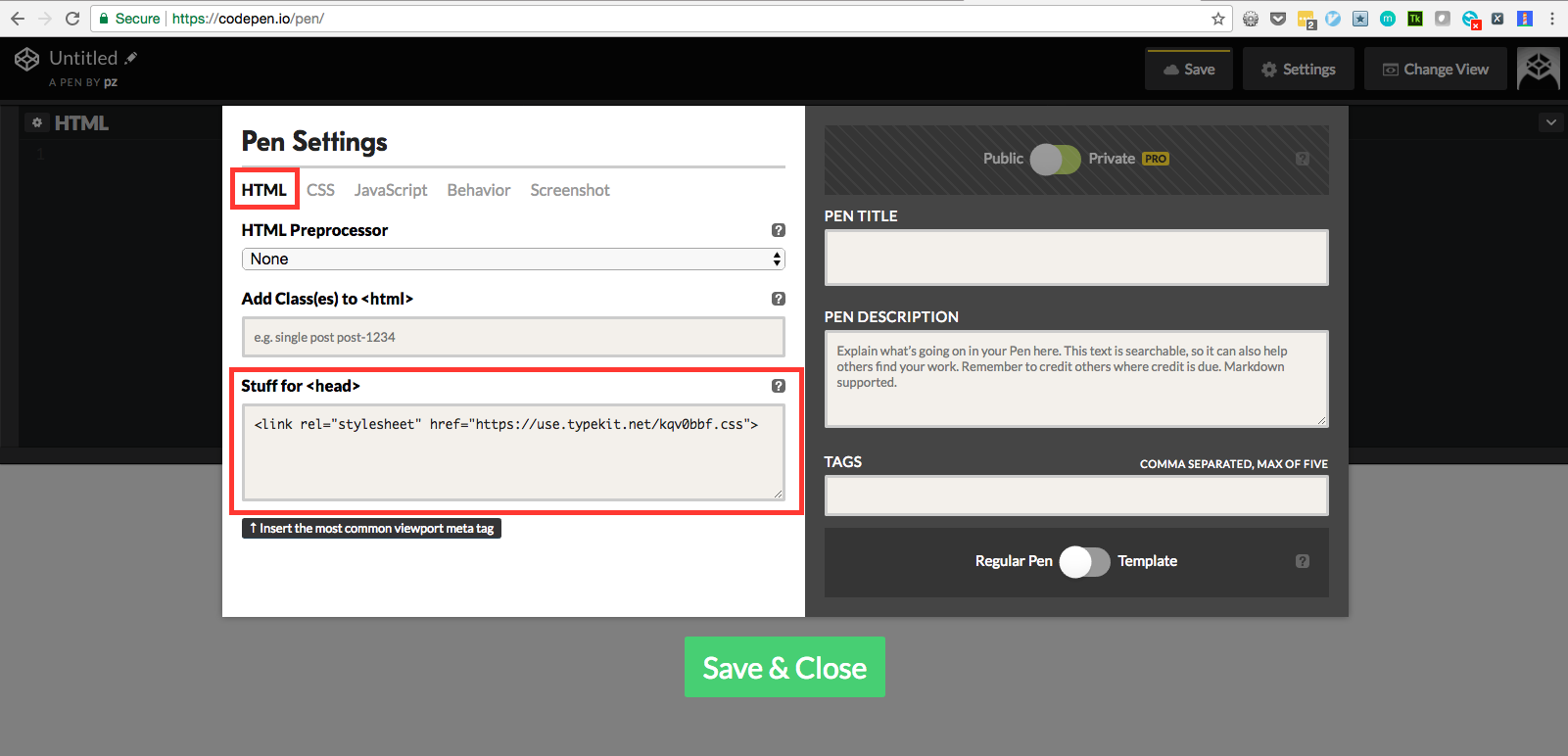 Using web fonts with CodePen
