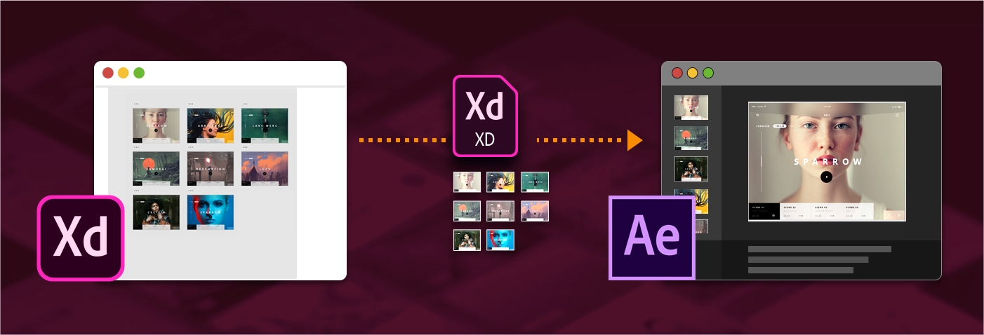 Animate と After Effects Animate と After Effects