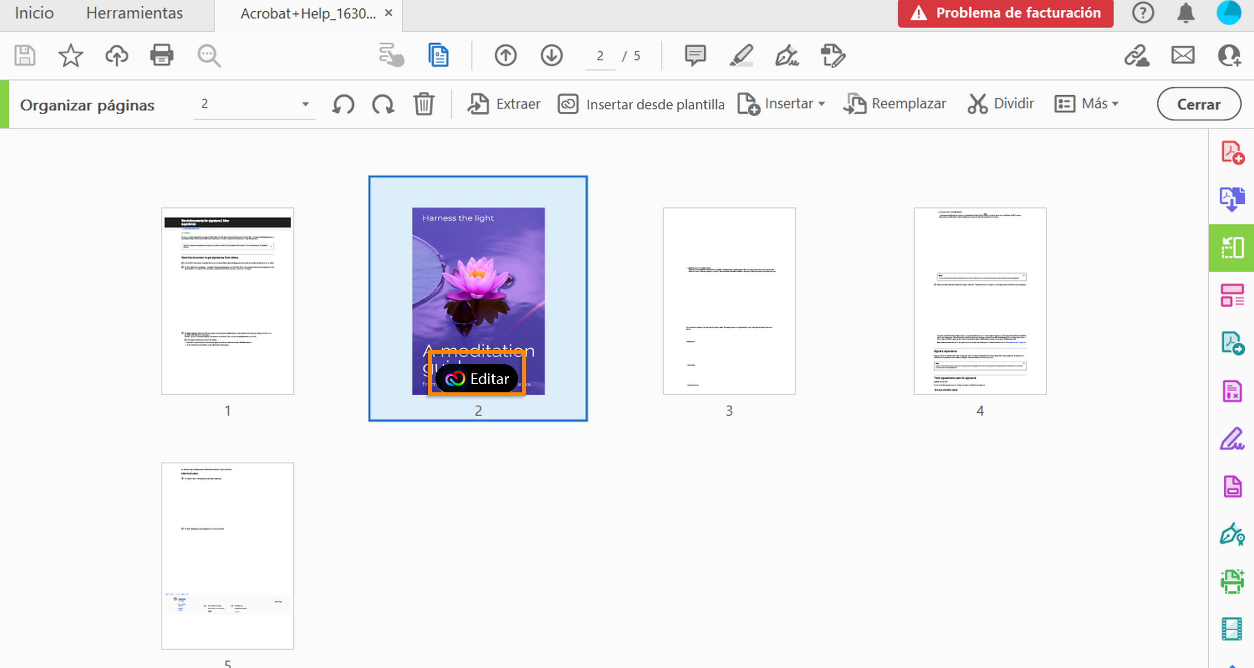 Edición de la plantilla añadida