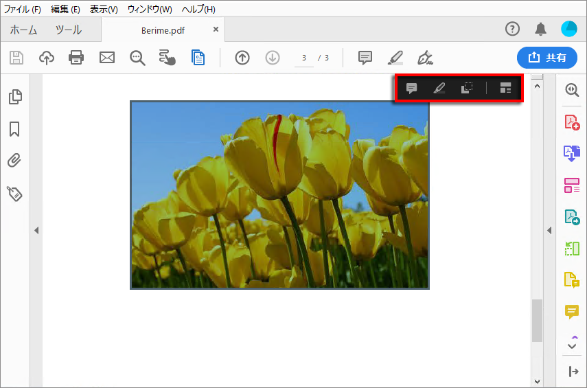Acciones en una imagen seleccionada