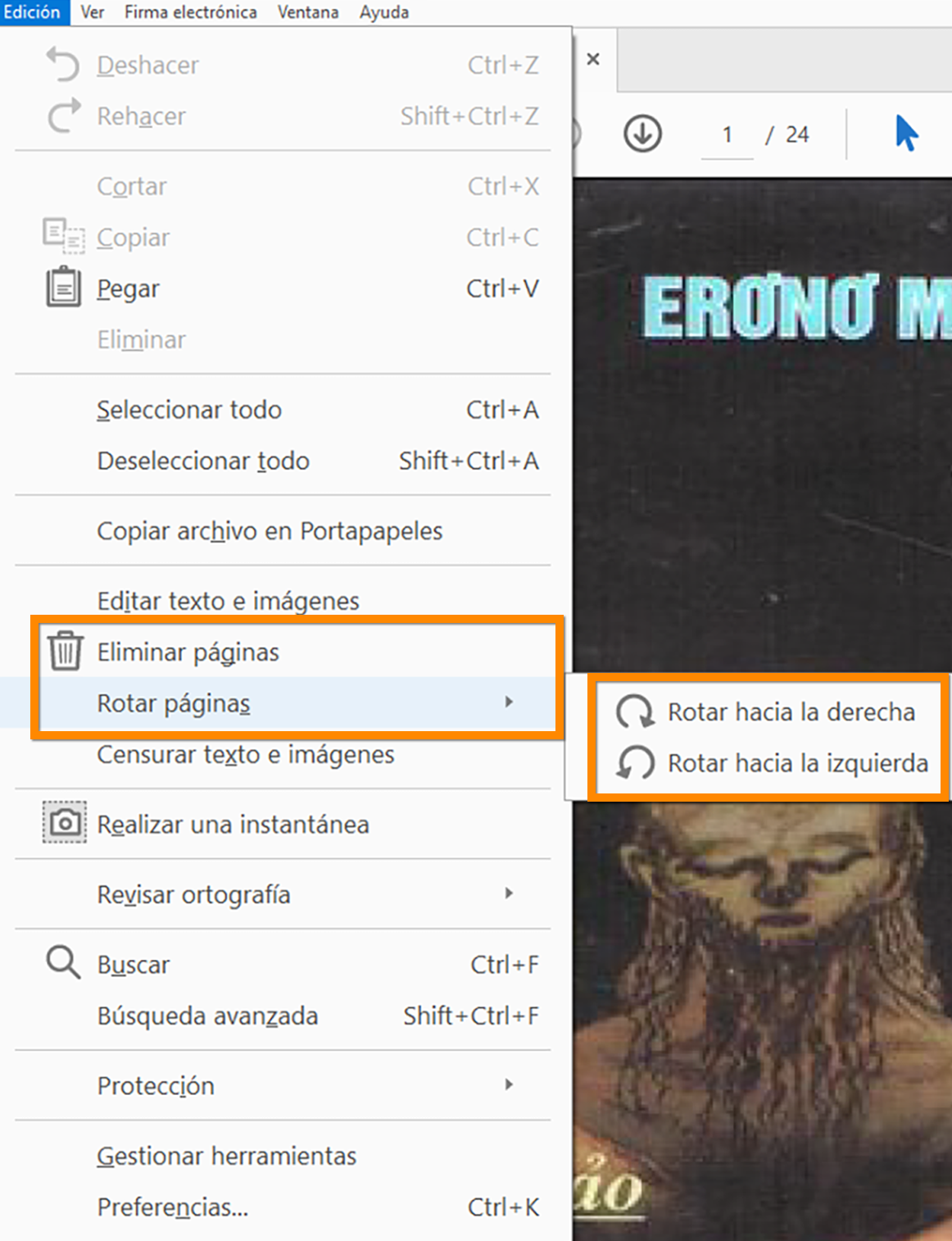 Edición > Eliminar páginas o Rotar páginas