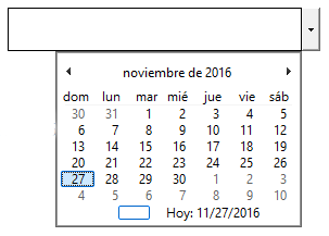 El Selector de fecha