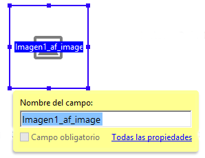 Utilizar el campo de imagen en un formulario