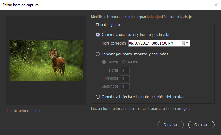 Editar la hora de captura de un archivo JPEG o RAW