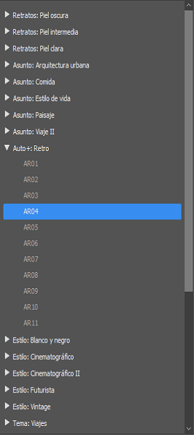 Nuevos ajustes preestablecidos premium en el panel Ajustes preestablecidos