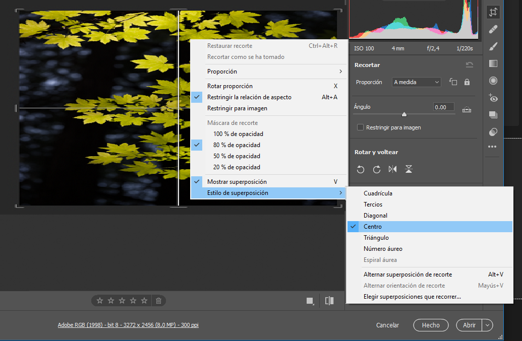 Utilice Centrar superposición de recorte para encontrar el centro exacto de la fotografía.