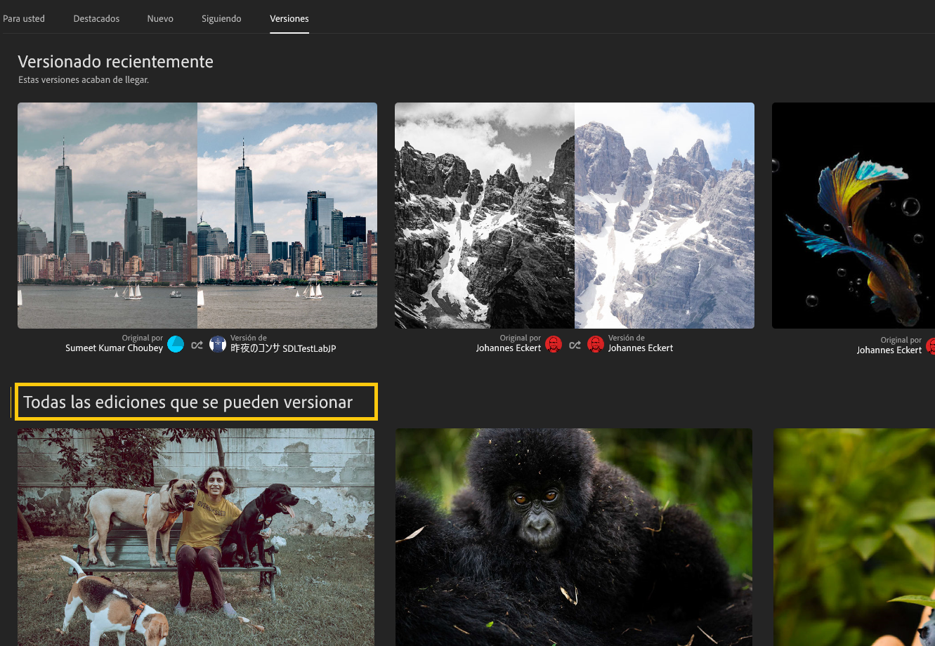 Todas las ediciones que se pueden versionar 