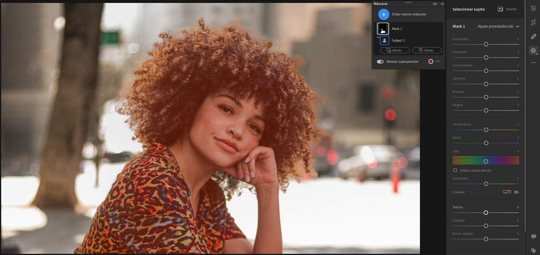 El sujeto se selecciona automáticamente en Lightroom para equipos de escritorio