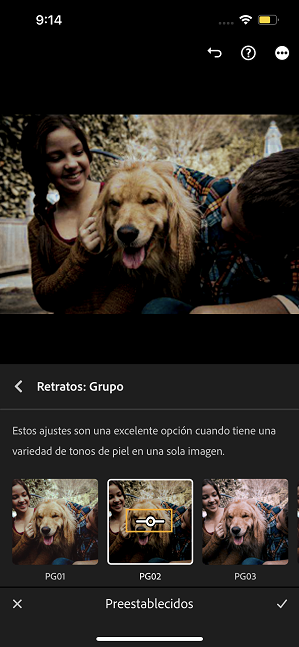 Regulador Cantidad de ajuste preestablecido de Lightroom para iOS