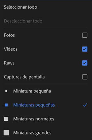 Opciones de importación Opciones de importación