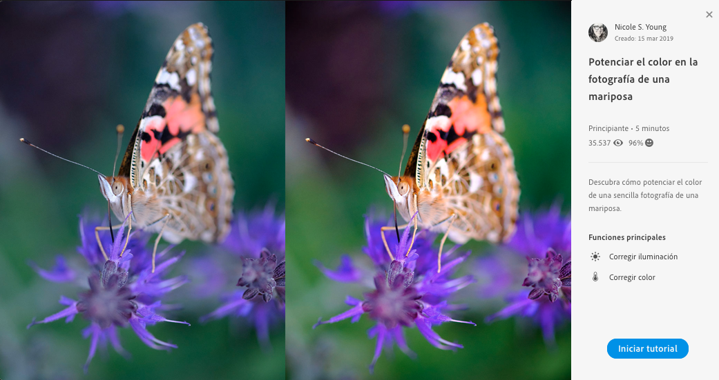 start_tutorial Iniciar tutorial