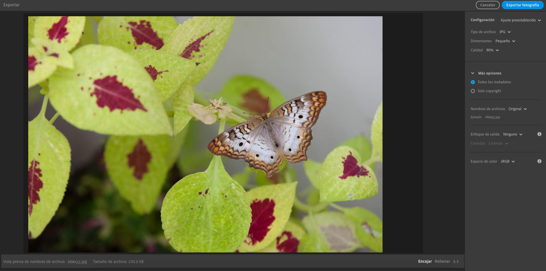 export_screen Opciones de exportación en Lightroom para equipos de escritorio