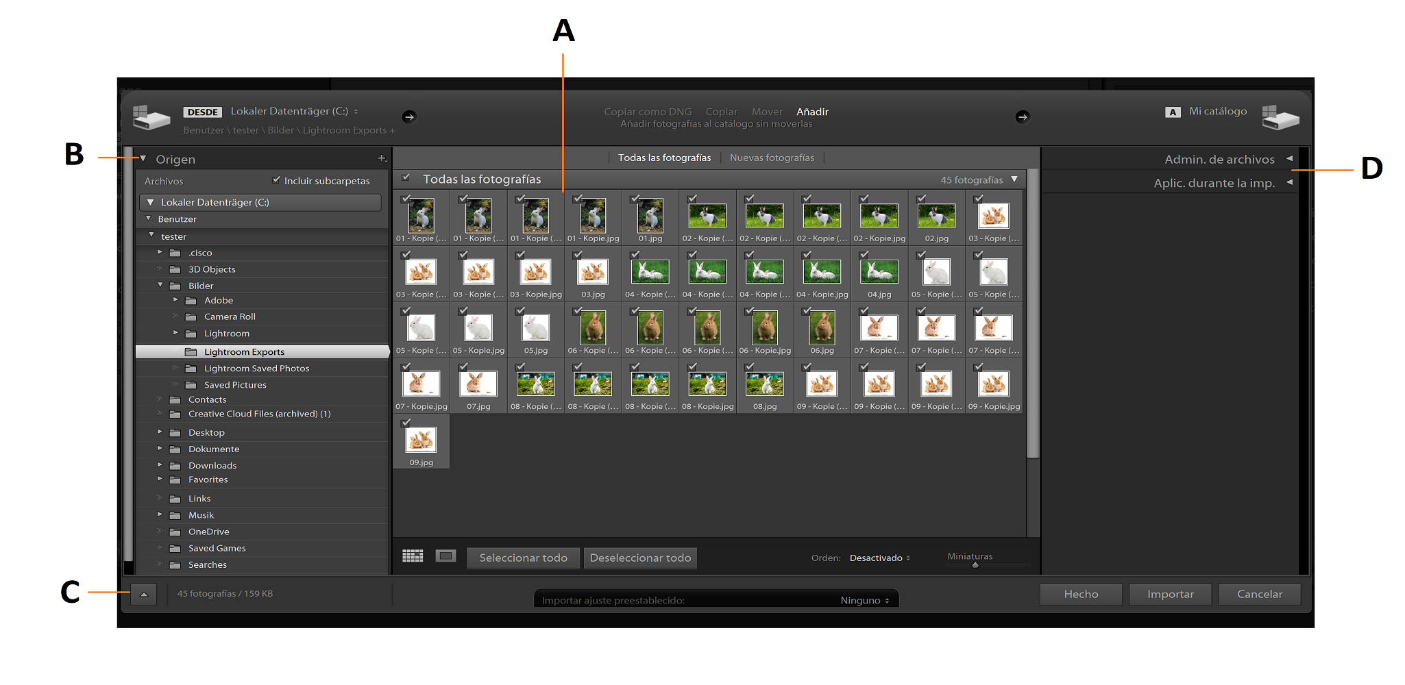 Ventana de importación de Lightroom Classic La ventana de importación de Lightroom Classic.