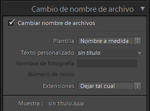 Cambio de nombre de archivo Cambio de nombre de archivo