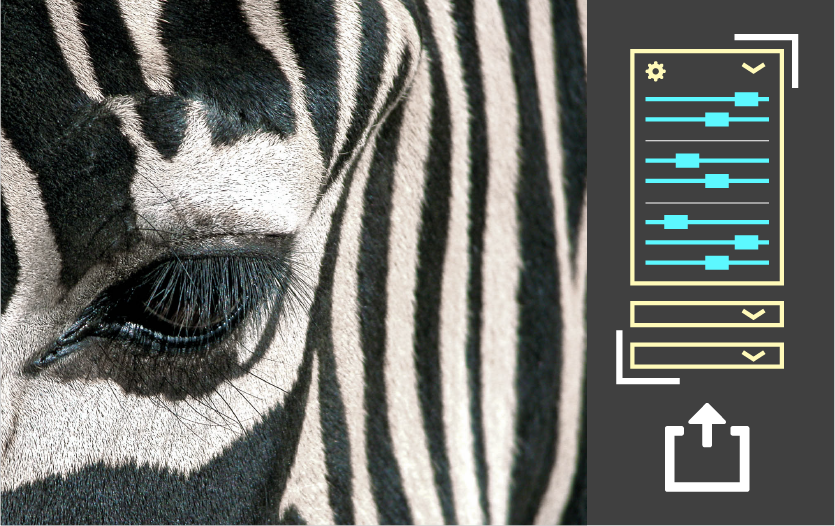 Exportar ajustes preestablecidos de revelado