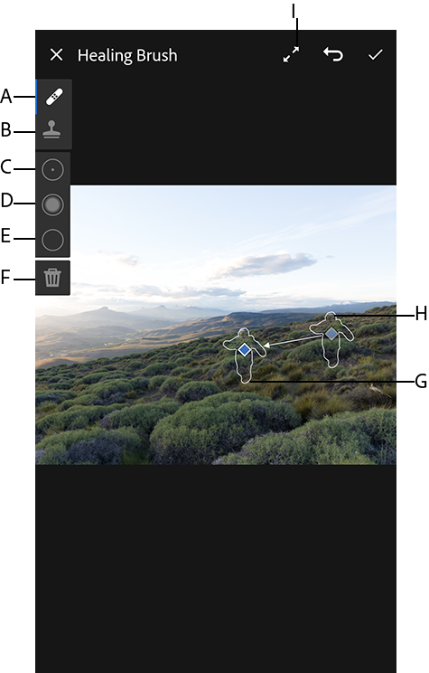 Uso de la herramienta Corregir para eliminar de la fotografía el objeto no deseado                        