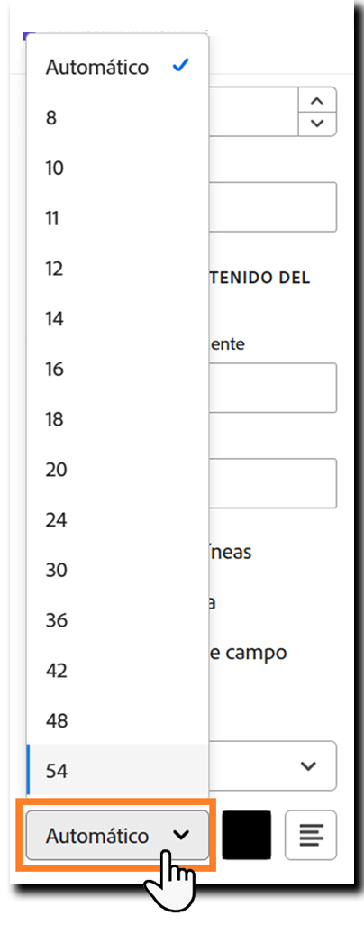 Sección Formato de texto de las opciones de configuración del campo con las opciones de tamaño de fuente resaltadas.