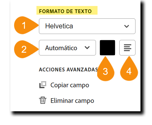 Sección Formato de texto de las opciones de configuración del campo con las cuatro propiedades editables resaltadas.